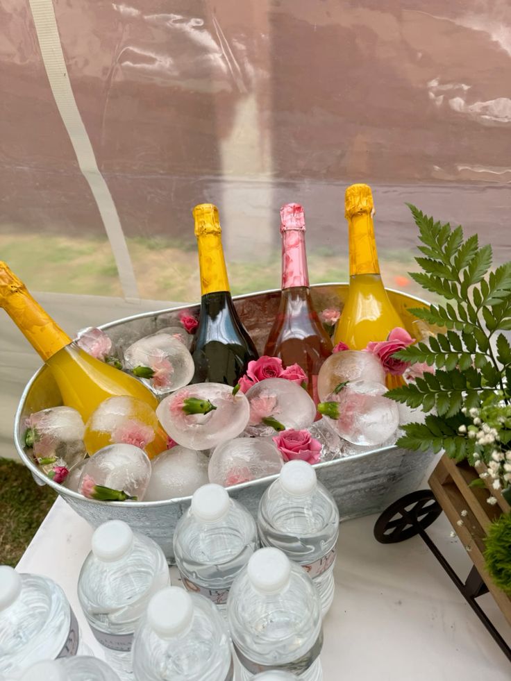 Servicio de Mimosas